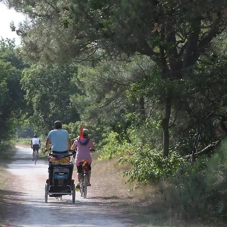 Gemuetliches Ferienbungalow Mit Garten Nyaraló Callantsoog